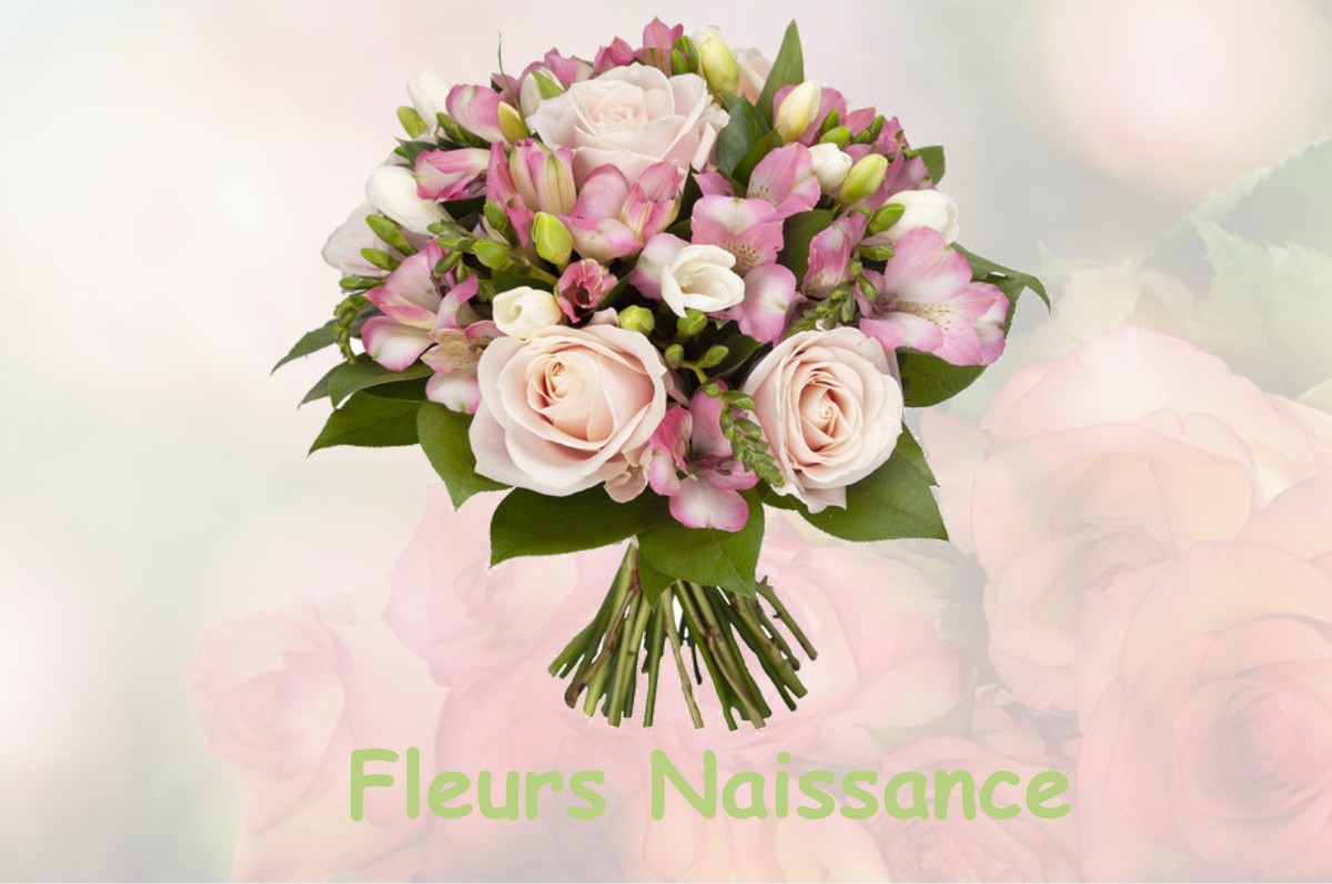 fleurs naissance SAINT-PALAIS-DE-NEGRIGNAC